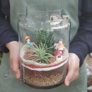 원예 테라리움 이미지