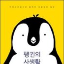 펭귄 이미지