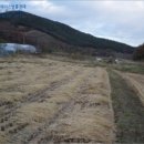 사기소리마을회관 | [2014타경15823] 충남 당진시 면천면 사기소리 298-2 <<토지(대지)경매>>