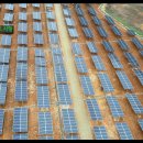 미숙 태양광 이미지