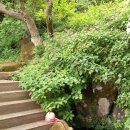 김해 대암산 문동샘코스(22.05.19목) 이미지