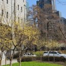 서초1동 주민센터 이미지