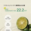 루체테스킨앤바디