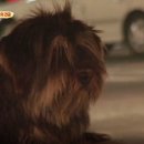 봉례농장 이미지