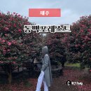 포레스트 김밥 | 제주 동백포레스트 오는정김밥 포장 솔직후기