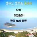 8/18-19(토,일) 5회차 정기여행 1박2일 가고 싶은섬 신안 임자도 여행 이미지