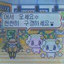 대풍족 | [260531 ~ 260605] 계속 나아갈 거야 ~ 맛있는 걸 다 먹을때까지 🍺🍡 도쿄여행 4일차