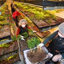 호천농장 이미지