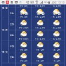 (주)바다여행사