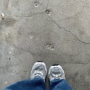 남원 | 구례 산수유 축제 후기 + 남원 산내면 맛집 유성식당 | 지리산 흑돼지 삼겹살