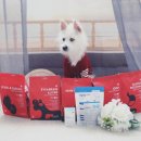 우리 덴탈랩 이미지