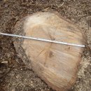 은평-025 이미지