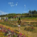화순정보 | 화순 봄꽃 축제 주차정보와 봄 나들이 후기