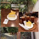 카페 카페플로리안)대구 반월당 카페 추천 케이크가 맛있는 대구 느좋카페 카페플로리안 내돈내산 후기