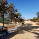 영천 시엘골프클럽 | 경북 영천, 시엘GC 이용안내, 이용팁