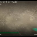 감태해장국 이미지