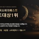 헬스 달리아 이미지