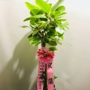 오에스팜 이미지