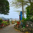 산물 | 쇠소깍 산물관광농원 제주투어패스 포토존 내돈내산 후기