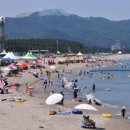 맹방관광지 이미지