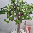 귀한보청기 청각언어재활센터 | 평택 귀한보청기 청각&amp;언어재활센터 방문기~ 세번째