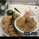 어둔(여) 이미지