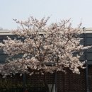 방화근린공원 이미지