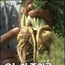 이성푸드 이미지