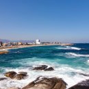 산과들과바다와함께 이미지