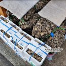 곡성축협마트 이미지