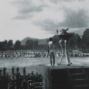 [사진 속 어제와 오늘] 전국체육대회 변천사 ② 이미지