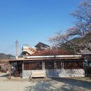 문바우민박 네이버블로그
