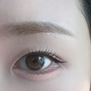 온솔 | 온솔 천안 속눈썹펌 받고 왔어요