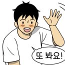 하이케밥 이미지
