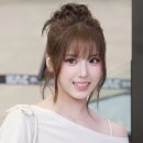 홀리브라운