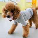 딩동댕치원 이미지