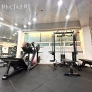 바디나믹 이미지