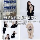 댕댕쓰 | 애견동반 스튜디오 후기｜프리브 스튜디오 강아지 촬영 가격·패키지 정리