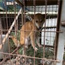 봉자농장 이미지