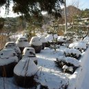 하늘샘농장 이미지