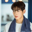 늘 사랑스럽개 이미지