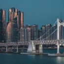 부산상가나라부동산중개 이미지