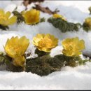 전통민요 이미지