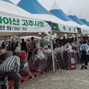 진안시장 이미지