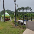 삼강나루캠핑장 | 예천 삼강나루 캠핑장 &amp; 강문화전시관 주말 나들이 후기!