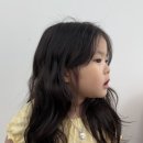 아로담