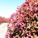 송하농장 이미지