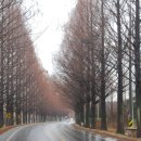 비내리는 담양에서 이미지