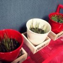 코마실용음악학원 이미지