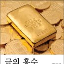 금의 이미지